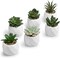 Mini Assorted Green Faux Succulent, Indoor Fake Plants in Geometric Ceramic Pots, Set of 6